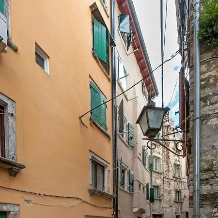 Classic-style Oscar Ii