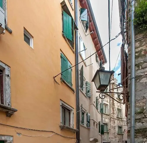 Classic-style Oscar Ii